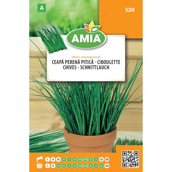 Seminte de ceapa perena pitica 0.80 gr Amia