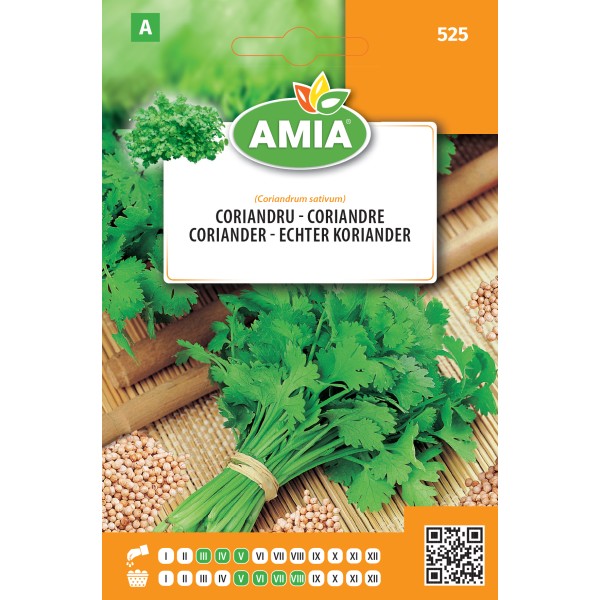 Seminte de coriandru 5 gr Amia