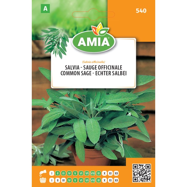 Seminte de salvia 0,40 gr Amia