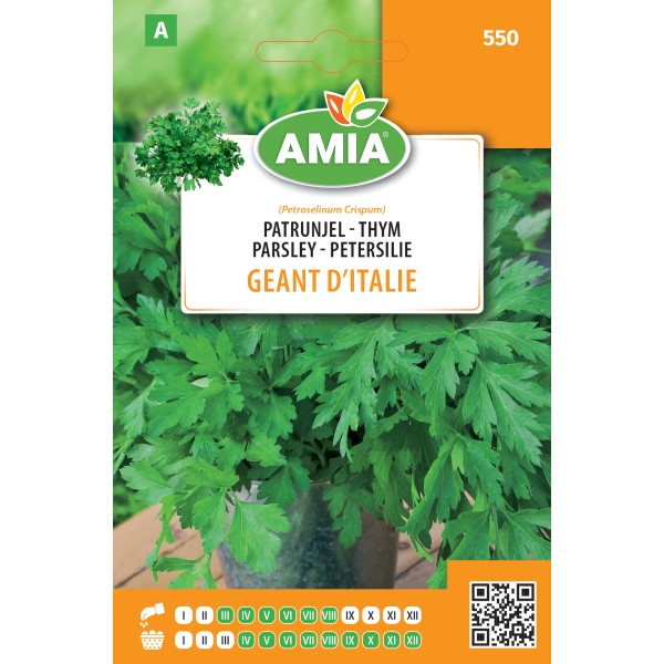 Seminte de patrunjel Geant d'italie 5 gr Amia