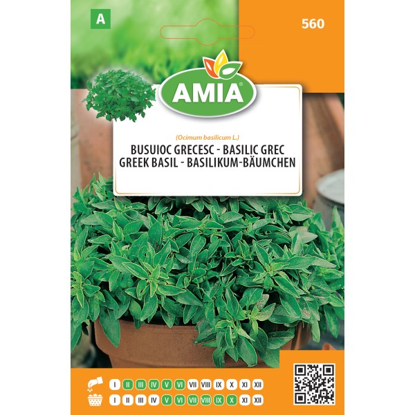 Seminte de busuioc grecesc 0,60 gr Amia
