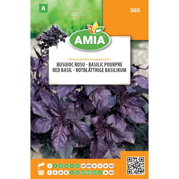 Seminte de busuioc rosu 0,60 gr Amia