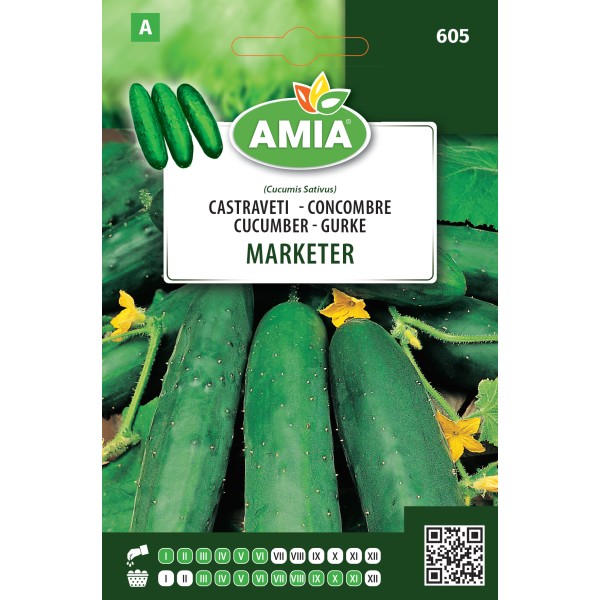 Seminte de castraveti Marketer 1.7 gr Amia