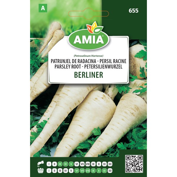 Seminte patrunjel de radacina Berliner 5 g Amia
