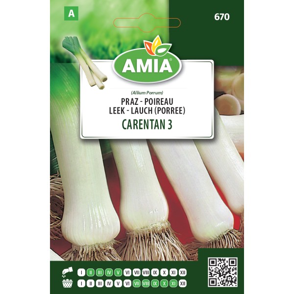 Seminte de praz Carentan  1,5 g Amia