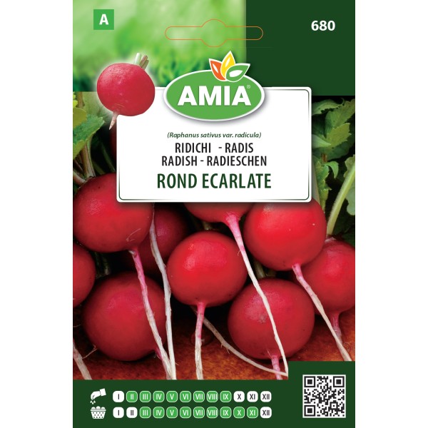 Seminte de ridichi Rond Ecarlate 7 g Amia