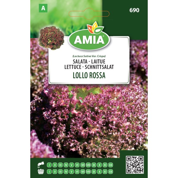 Seminte de salata Lollo Rossa 1.80 gr Amia