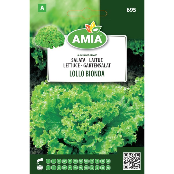 Seminte de salata Lollo Bionda 1.5 gr Amia