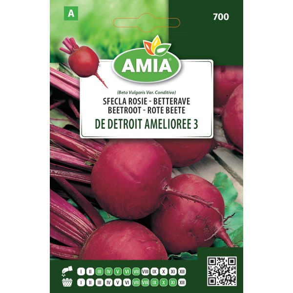 Seminte de sfecla rosie Detroit amelioree 5.00 gr Amia