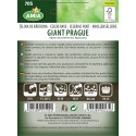 Seminte telina de radacina Giant Prague 2 g Amia