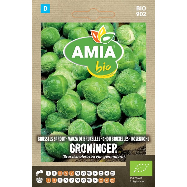 Seminte bio de varza de Bruxelles Groninger 1,5 grame Amia