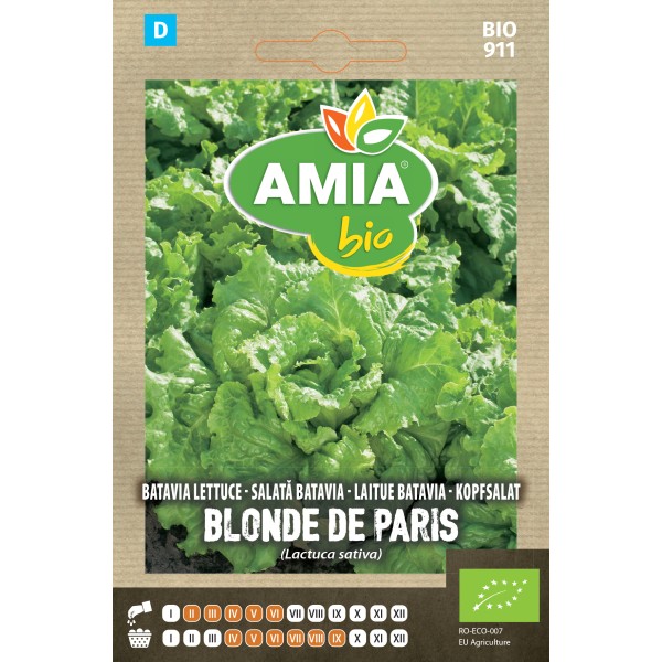 Seminte bio de salata batavia Blonde de Paris Amia 1,1 grame