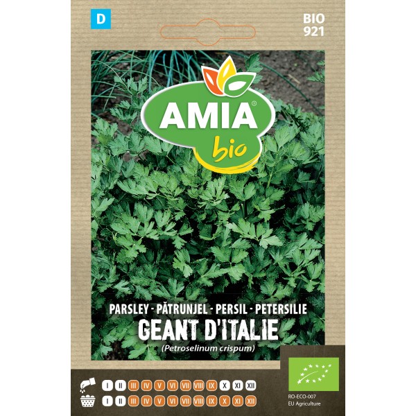 Seminte bio de patrunjel Geant d'Italie 1,5 grame