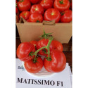 Seminte tomate profesionale Matissimo F1 500 seminte 
