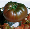 Seminte de tomate premium Noire de Crimee