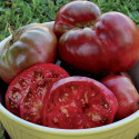 Seminte de tomate premium Noire de Crimee