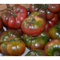 Seminte de tomate premium Noire de Crimee