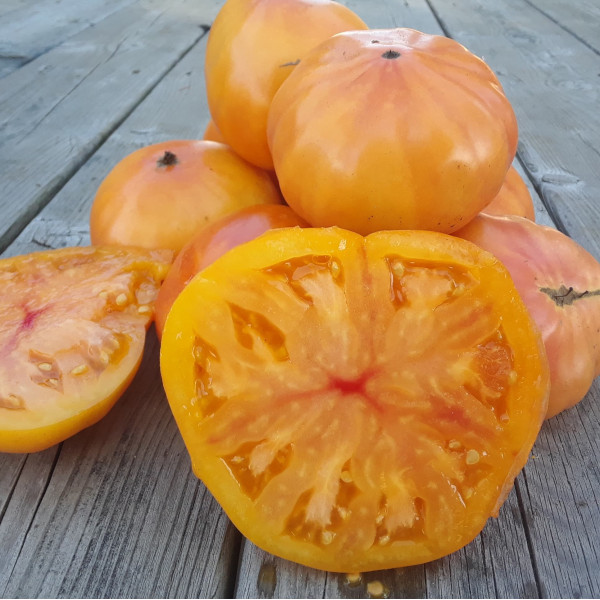 Seminte de tomate Ananas 100 seminte